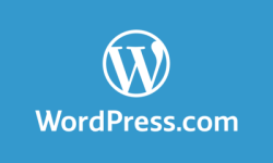 WordPress Kullanıyorsanız Hangi Hosting Paketi Size Uygun?